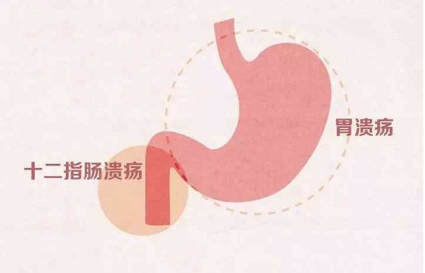 1656575994510355.jpeg 1.jpg